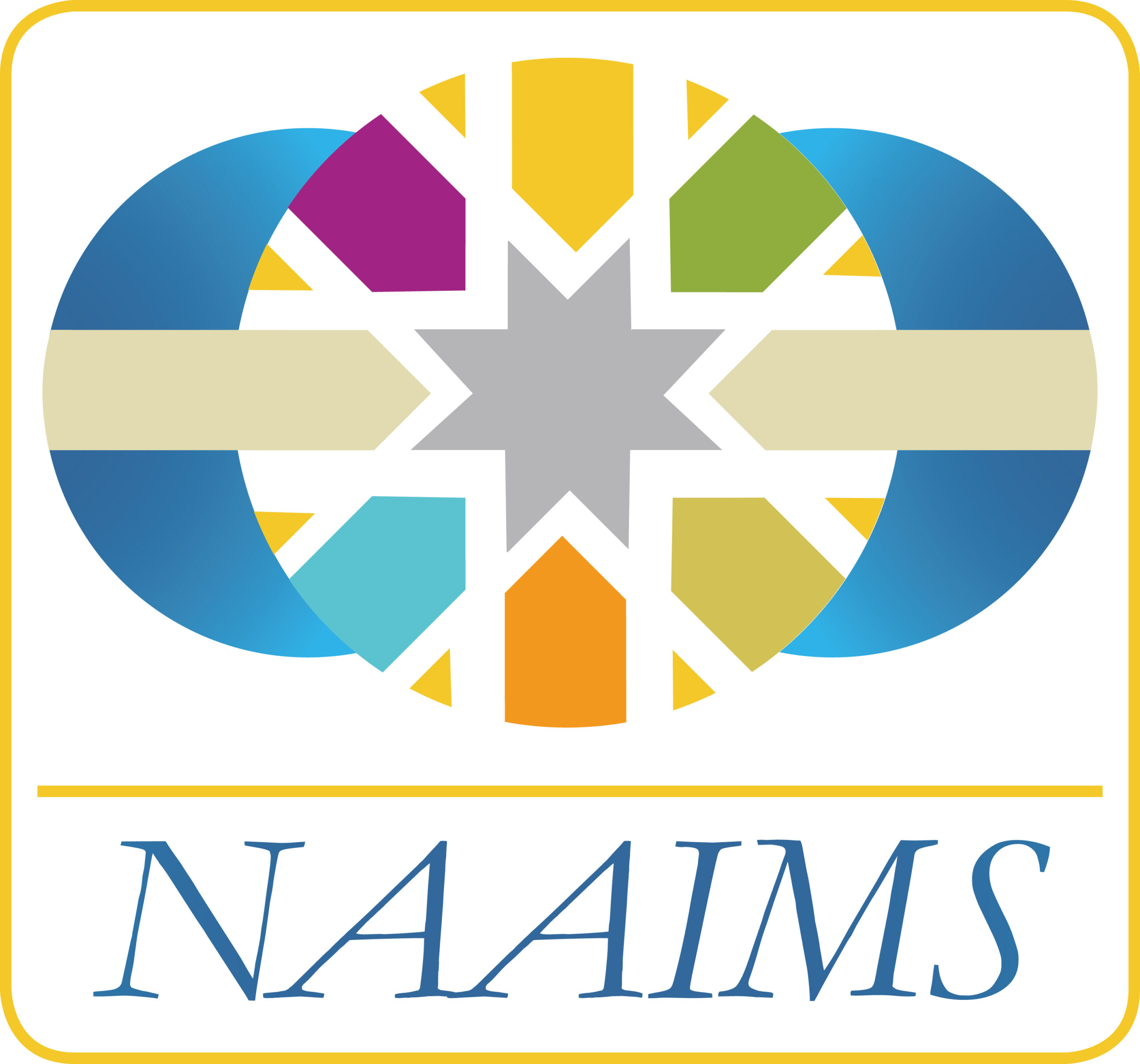 NAAIMS_logo jpg